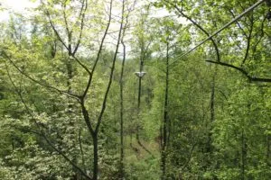 Challenge Adventure_Activities_Ziplines_Summer