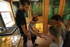 Nature Studies_School Group_Mark_Snake